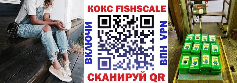 купить наркотики цена  Нижнеудинск  КОКАИН Fish Scale 