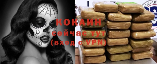 шишки Майский