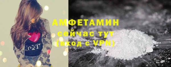 хмурый Магас