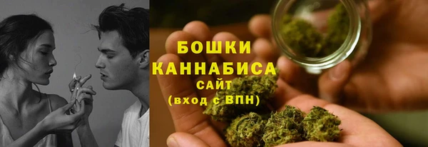 шишки Майский