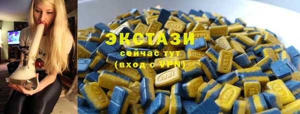 хмурый Магас