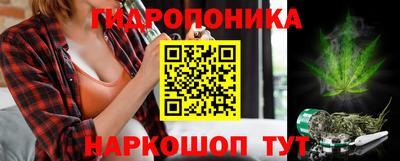 молекула духа Шахты