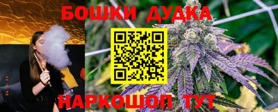 молекула духа Шахты