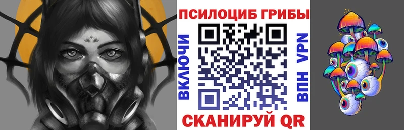 Псилоцибиновые грибы Psilocybine cubensis  дарнет шоп  Нижнеудинск 