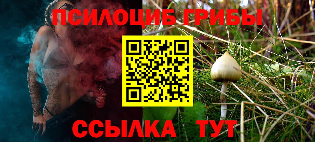 Галлюциногенные грибы MAGIC MUSHROOMS Нижнеудинск