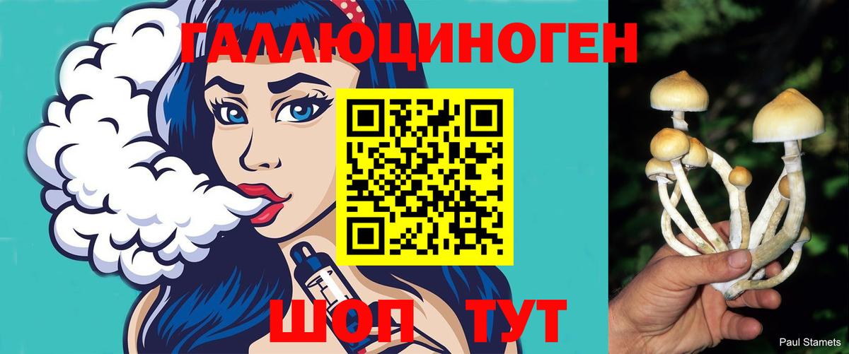 Псилоцибиновые грибы GOLDEN TEACHER  Вход с VPN  Нижнеудинск 